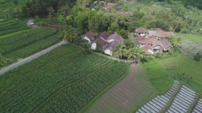 Отель Griya Harja Homestay  Borobudur